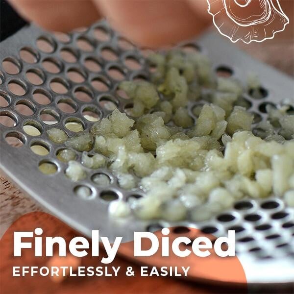 (🔥NEW YEAR 2022 SALE 45% OFF 🔥 - Special Offer Now) Stainless Steel Garlic Presser